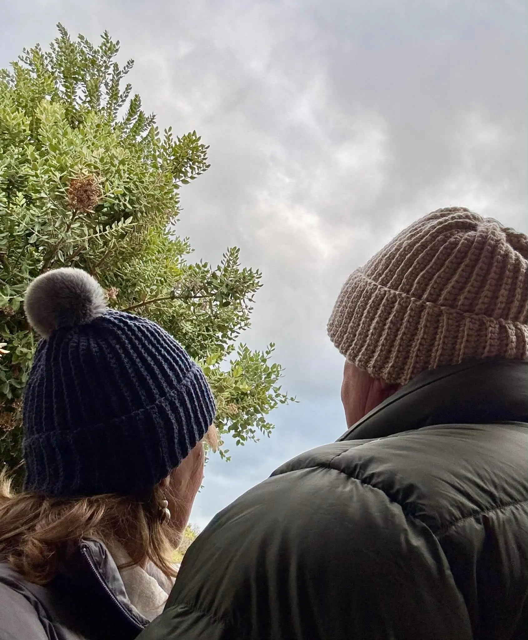 Two adults seen from behind wearing matching oatmeal and navy ribbed beanies, looking at a tree against a cloudy sky.